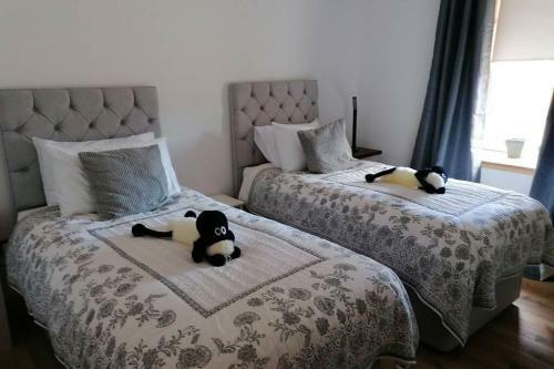 The Apartment In Aberlour