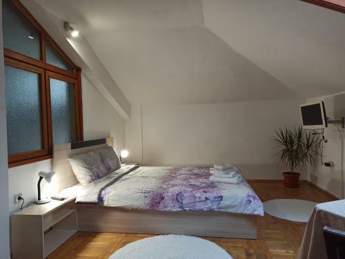 Hostal Guest House Ganovi