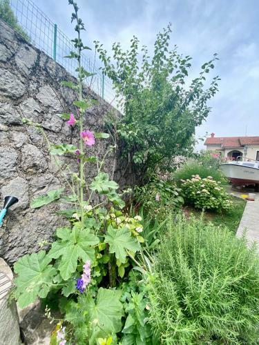 Apartman Mira