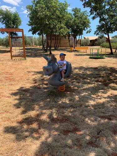 Papafigo Camping