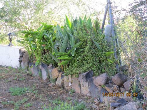 Agroturismo Casa Rural Cho Agustin