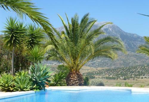 Villa Monterosa Stunning Views Private
