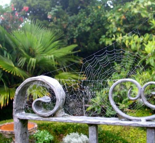 Bed & Breakfast Ednovean Farm