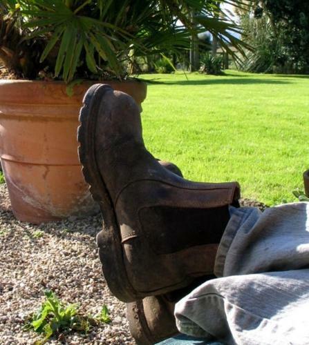 Bed & Breakfast Ednovean Farm
