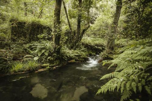 Agroturismo O Curralino