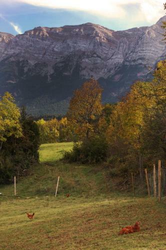 Casa Rural Al Pirineu