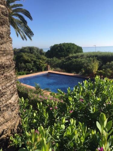 Bed & Breakfast Casa Bahia De Casares