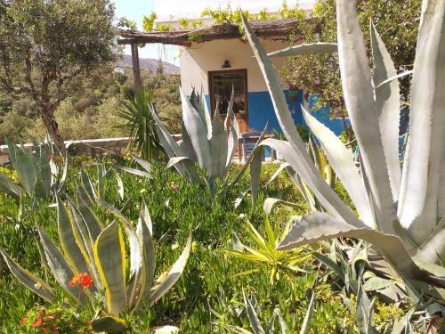 Saveriako, Paradise For Relaxed Free Spirits