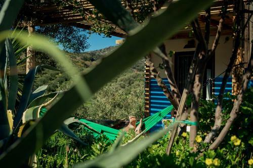 Saveriako, Paradise For Relaxed Free Spirits