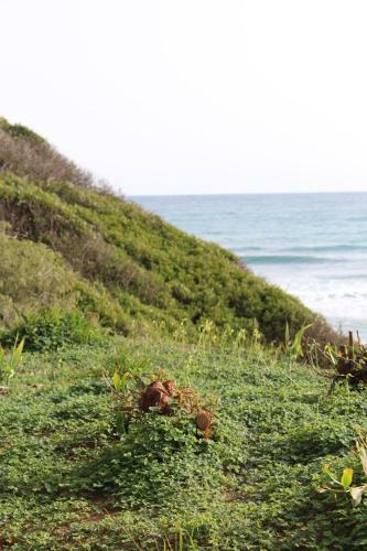 Apartamento Beach Forest Paradise