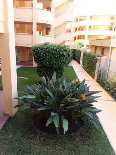 Apartamento Adoorable II Calahonda Royale .edif. Olivo