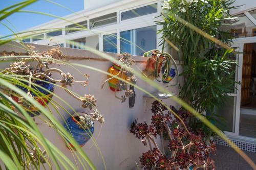 Villa Playa Flamenca