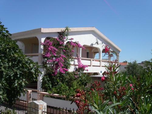 Apartements Delfin Vir