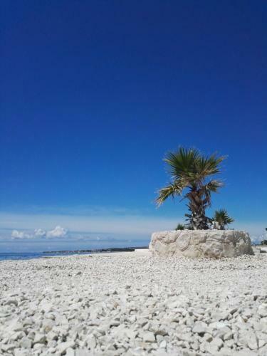 Apartments Oasis Vir