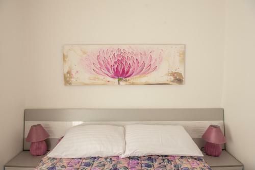 Apartman Bo?ica