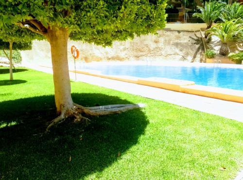Apartamento Entreplayas 2