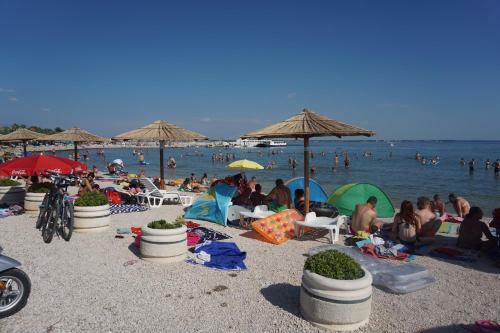 Apartment Ij 3stars 4-6 Persons