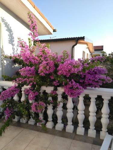 Apartmani Korade