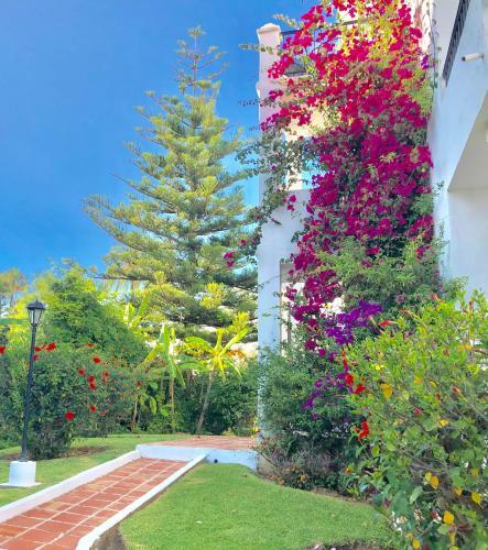 Apartamento Beachfront Penthouse Super Fast Wifi