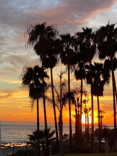 Apartamento Residencial Algaida