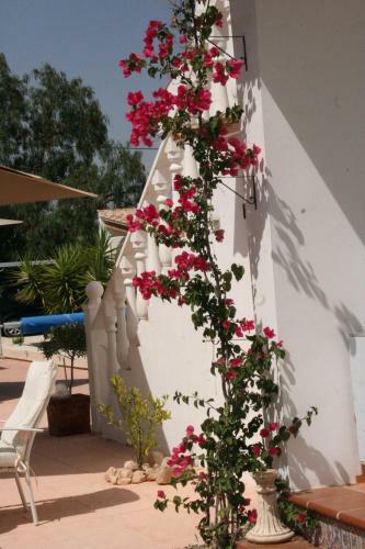 Pension - B&B Casa Alegria