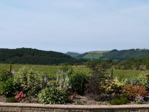 Blaengader Cottages - Enlli