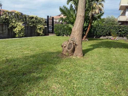 Apartamento Appartamenti Sole Delle Aci