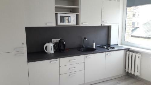 Anyk??iai Center Apartment