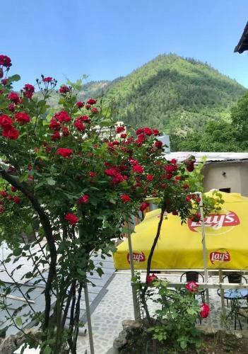 Borjomi Apartments Apart Hotel