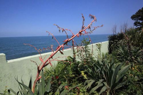 Apartamento Hitas House