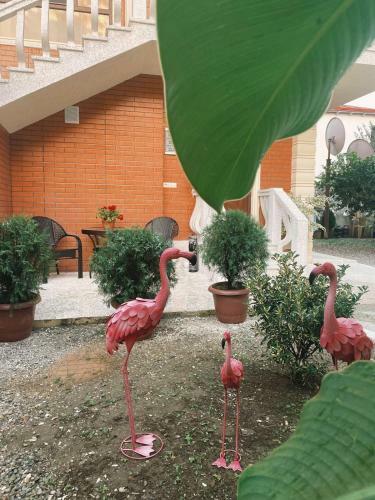 Apartamento Orange Inn