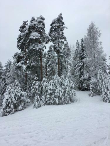 Apartamento Lomakaksio Vierum�en Golfkent�n Vieress�