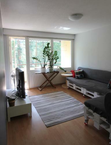 1-bedroom Apartment With Sauna