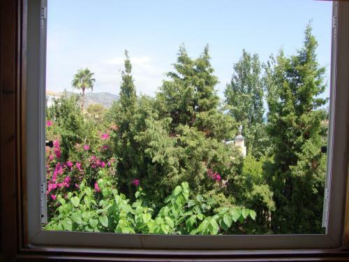 Apartamento Alquileres Cap Y Corp