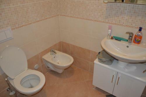 Apartament M & E