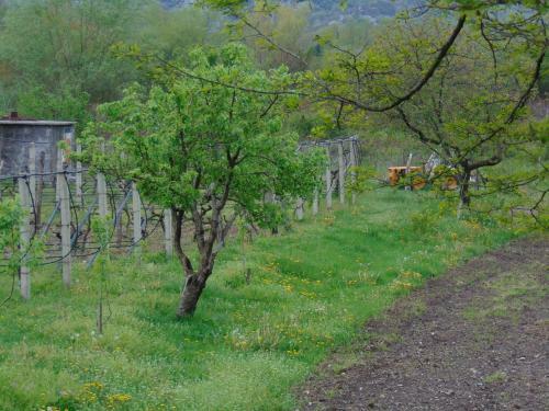 Agroturismo Studio And Winery Kalimut
