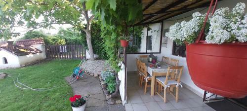 100 �ves Pr�sh�z