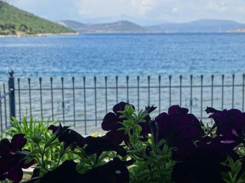 Agroturismo Blue Dreams