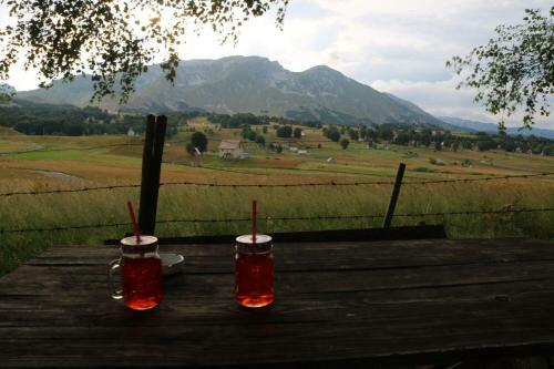Hostal Organic Family Farm