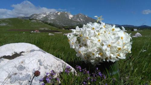 Hostal Organic Family Farm