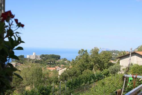 Apartamento La Casa Dei Nonni