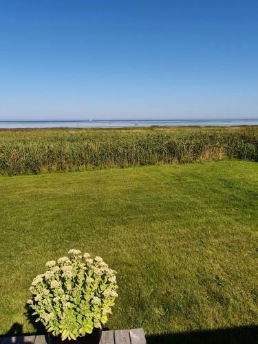 Full Ocean View & Game Rooms