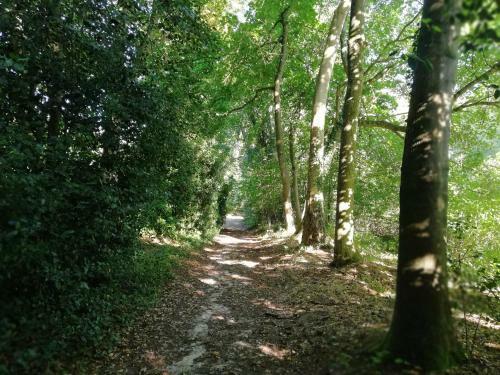 Villa Ch�teau De La Bucaille