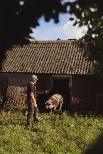 Agroturismo Damb�kgaard Sustainable Farm