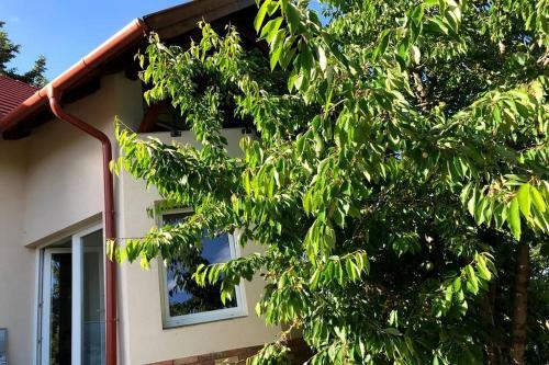 Apartamento ?new? Sunkissed Villa On The Old Hill