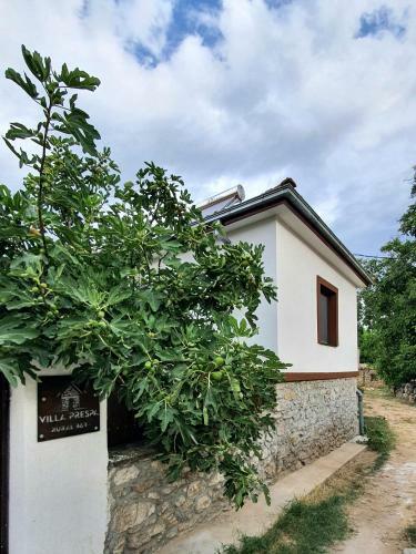 Bed & Breakfast Villa Prespa