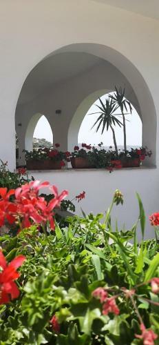 Hostal Qvattro Stagioni Panoramic Suites