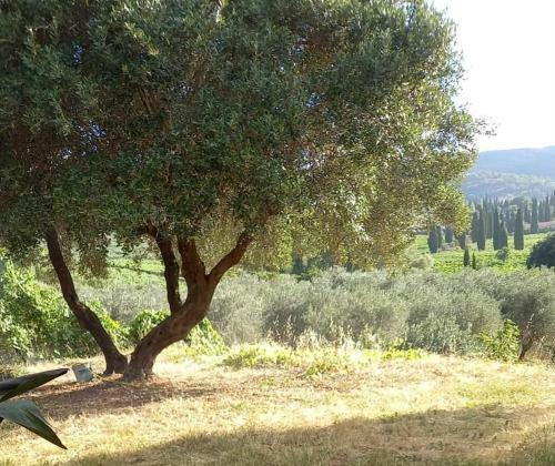 Apartamento Casa Vacanze Agropoli