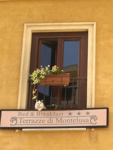 Bed & Breakfast Terrazze Di Montelusa