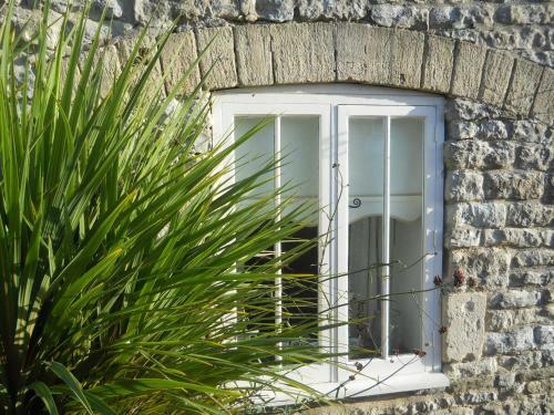 Agroturismo Ivy Cottage